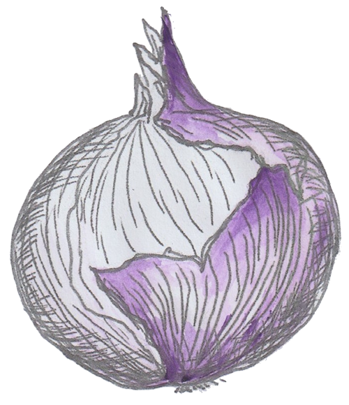 Oignon-violet-Maison-Nipa