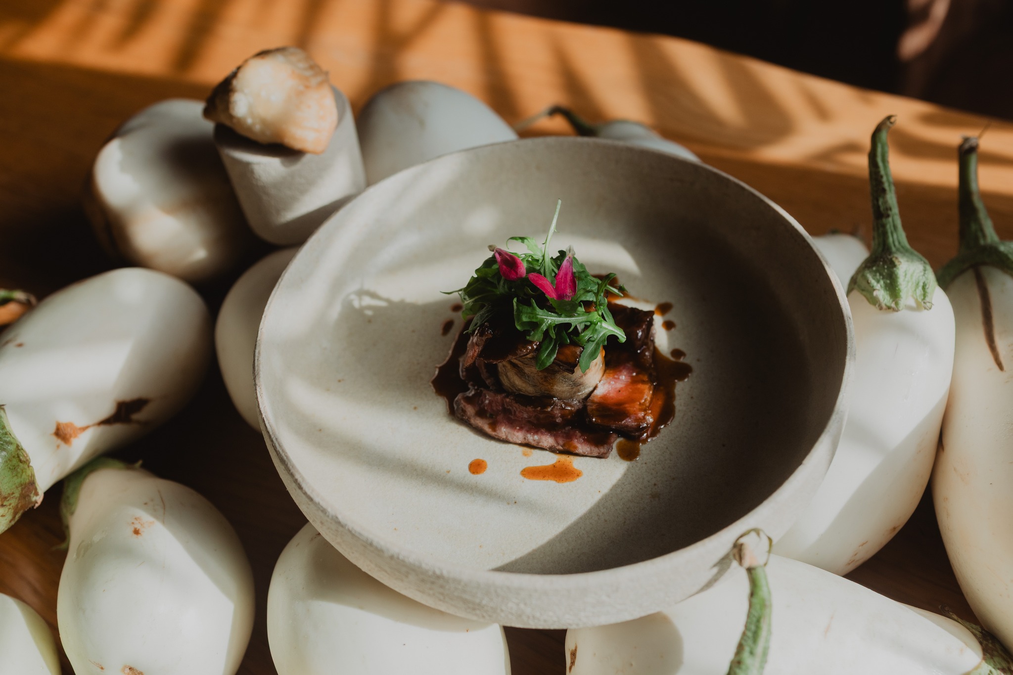 559066848_822961606910083_2366627692227549339_n